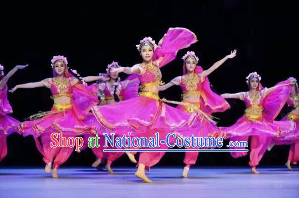 Traditional Chinese Mongol Nationality Dancing Costume, Mongols Female Folk Indian Dance Clothing, Chinese Belly Dance Embroidery Rosy Costume for Women