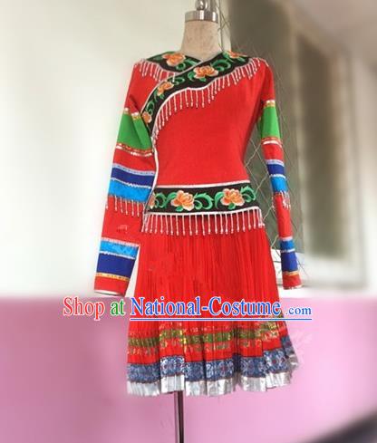 Traditional Chinese Yi Nationality Dancing Costume Female Folk Dance Ethnic Pleated Skirt, Chinese Minority Nationality Embroidery Dress for Women