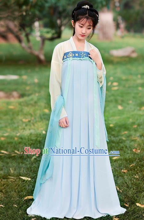 Traditional Ancient Chinese Costume Tang Dynasty Embroidery Blouse and Slip Dress, Elegant Hanfu Clothing Chinese Young Lady Princess Costume for Women