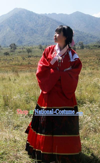 Traditional Chinese Ming Dynasty Imperial Consort Hanfu Costume Horse Face Skirt, China Ancient Dress Palace Princess Embroidery Clothing for Women