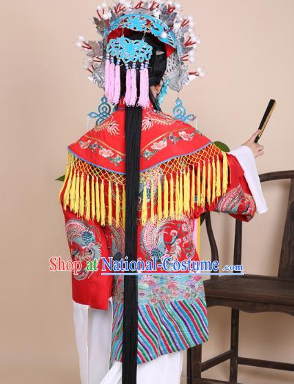 Traditional China Beijing Opera Niche Costume Gifted Scholar Embroidered Robe and Hat Ancient Chinese Peking Opera Embroidery Clothing