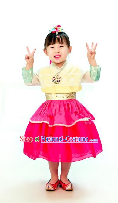 Traditional South Korean Handmade Hanbok Children Embroidery Birthday Dress, Top Grade Korea Hanbok Costume Complete Set for Kids