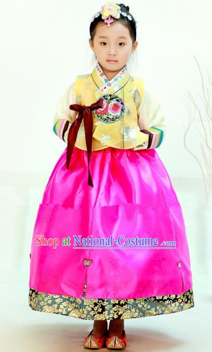 Traditional South Korean Handmade Hanbok Children Birthday Embroidery Beige Blouse Pink Dress, Top Grade Korea Hanbok Costume Complete Set for Girls