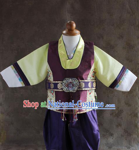 Traditional South Korean Handmade Hanbok Children Baby Birthday Customization Embroidery Purple Clothing, Top Grade Korea Hanbok Costume Complete Set for Boys