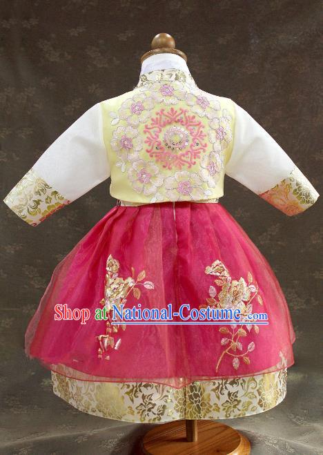 Traditional Korean Hanbok Clothing Fashion Apparel Hanbok Costumes