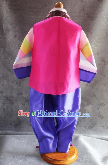 Traditional Korean Hanbok Clothing Fashion Apparel Hanbok Costumes