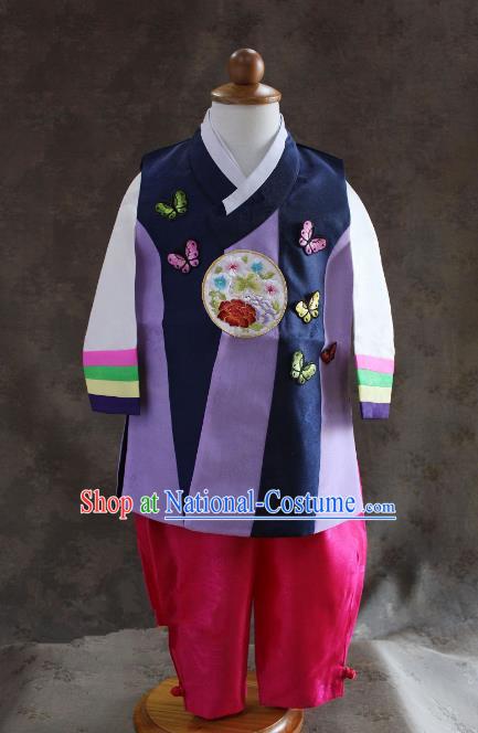 Traditional South Korean Handmade Hanbok Children Baby Birthday Customization Embroidery Butterfly Clothing, Top Grade Korea Hanbok Costume Complete Set for Boys