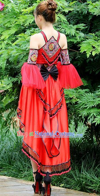 Traditional Chinese Miao Nationality Dancing Costume Hmong Female Folk Dance Ethnic Pleated Skirt Chinese Minority Nationality Embroidery Costume for Women