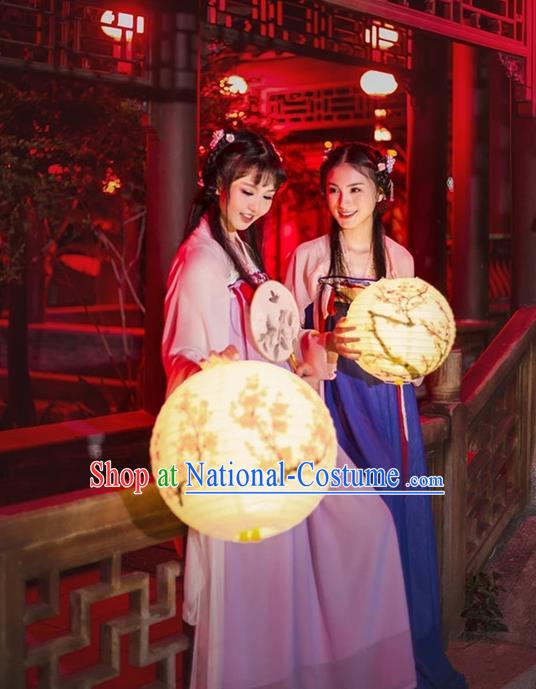 Traditional Asian Oriental China Costume Embroidery Tang Dynasty Young Lady Lantern Festival Slip Skirts, Chinese Hanfu Princess Embroidered Dress for Women