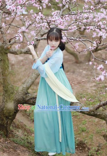 Traditional Ancient Chinese Tang Dynasty Palace Lady Costume, Elegant Hanfu Clothing Chinese Fairy Dress Princess Clothing