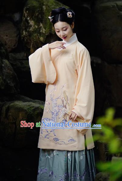 Traditional Chinese Ming Dynasty Nobility Lady Costume, China Ancient Palace Princess Embroidered Clothing for Women