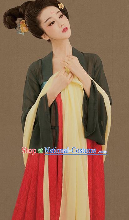 Traditional Chinese Ancient Tang Dynasty Palace Lady Embroidered Hanfu Clothing for Women