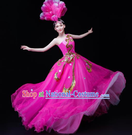 Professional Opening Dance Costume Stage Performance Modern Dance Rosy Veil Dress for Women