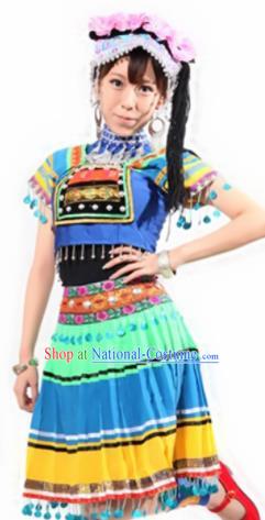 Traditional Chinese Fan Dance Folk Dance Costume Classical Yangko Dance Classical Dance Dress