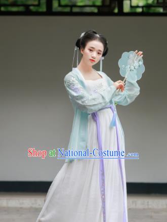 Chinese Traditional Song Dynasty Costumes Ancient Maidenform Hanfu Dress for Women