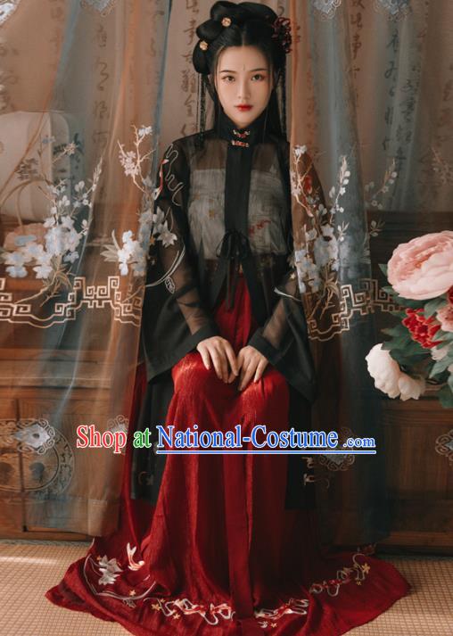 Chinese Ancient Young Lady Embroidered Costumes Ming Dynasty Hanfu Dress for Women