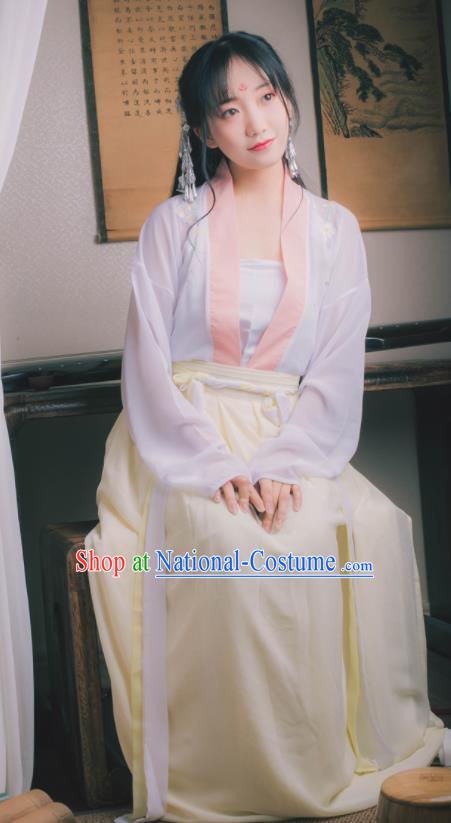 Chinese Ancient Peri Hanfu Dress Tang Dynasty Nobility Lady Costumes for Women