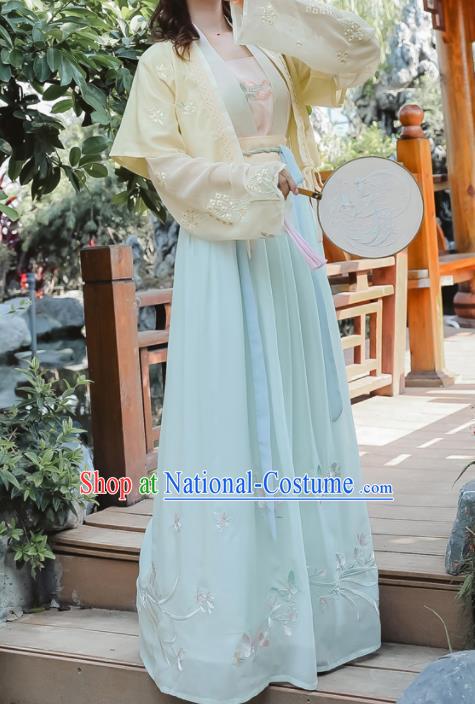 Chinese Ancient Palace Lady Hanfu Han Dynasty Imperial Concubine Queen Embroidered Historical Costumes