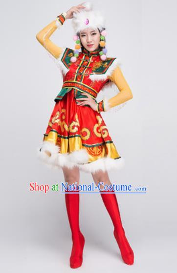 Traditional Chinese Fan Dance Folk Dance Costume Classical Yangko Dance Classical Dance Dress