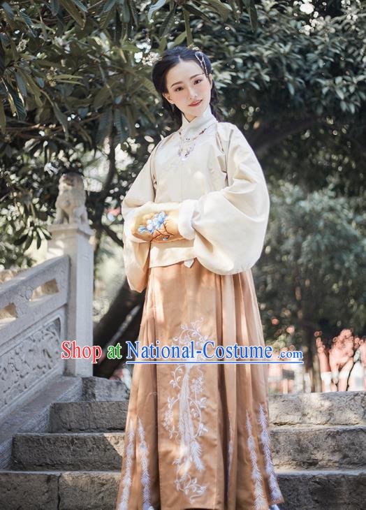 Chinese Ancient Ming Dynasty Princess Hanfu Dress Traditional Embroidered Costumes for Women