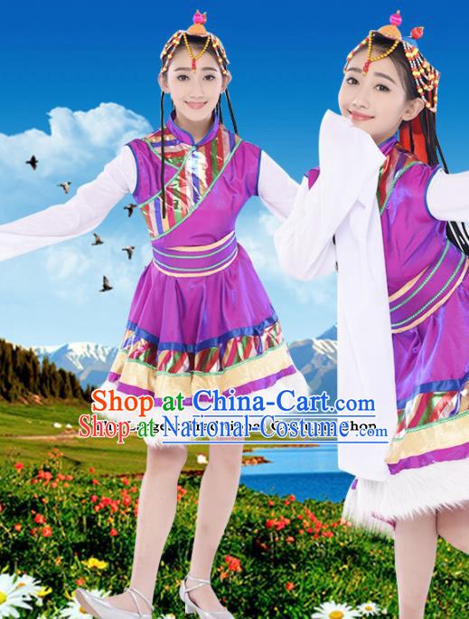 Chinese Traditional Zang Minority Purple Dress Tibetan Ethnic Folk Dance Costumes for Women