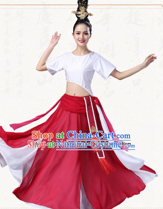 Chinese Traditional Classical Dance Dress Ancient Group Dance Costumes for Women