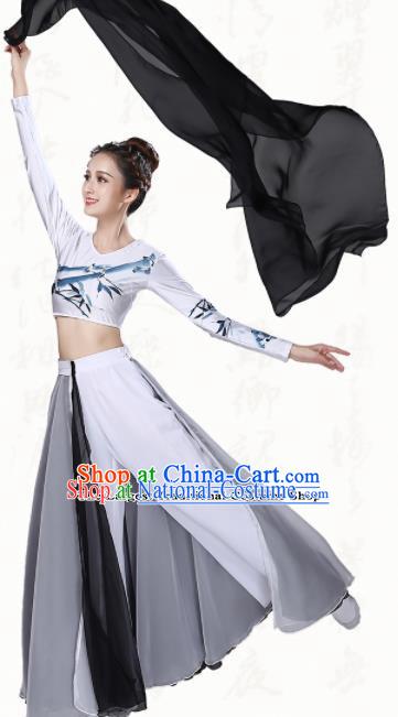 Chinese Traditional Classical Dance Grey Dress Ancient Group Dance Costumes for Women