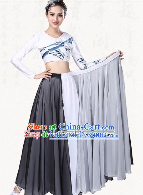 Chinese Traditional Classical Dance Grey Dress Ancient Group Dance Costumes for Women