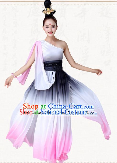 Chinese Traditional Classical Dance Clothing Group Dance Costumes for Women