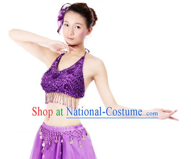 Top Indian Bollywood Belly Dance Costume Oriental Dance Purple Paillette Brassiere for Women