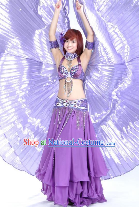 Indian Bollywood Belly Dance Purple Dress Clothing Asian India Oriental Dance Costume for Women