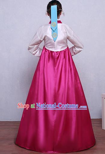 Traditional Korean Hanbok Clothing Fashion Apparel Hanbok Costume