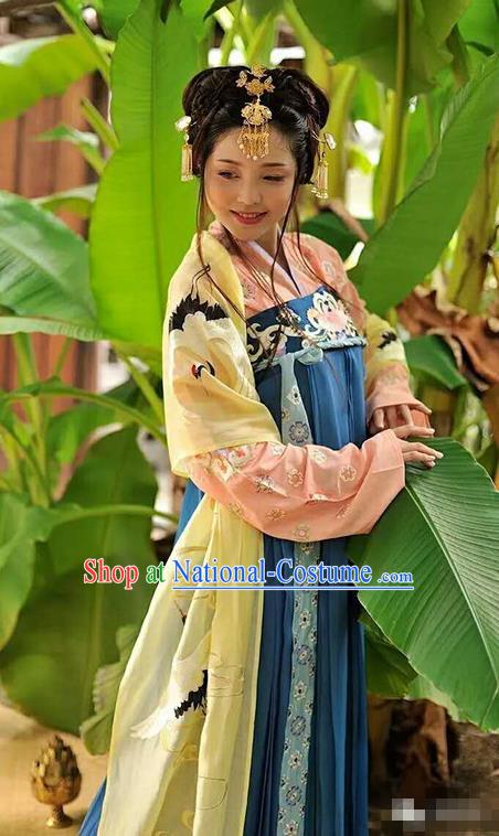 Traditional Chinese Tang Dynasty Palace Lady Dress Ancient Princess Embroidered Costume for Women