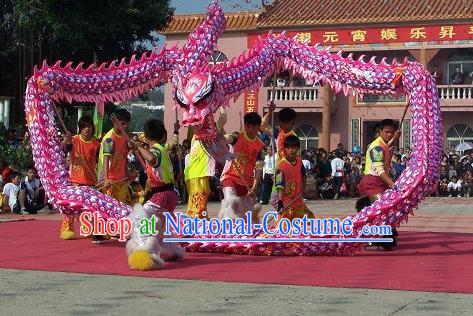 Chinese Professional Parade LED Lights Pink Dragon Dance Costumes Celebration Dragon Props Complete Set