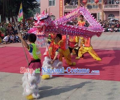 Professional Lion Dance Jongs Lion Dancing Zhuang Instrument Pieces Set Dragon Dance Costume Drum