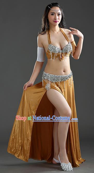 Traditional Egypt Dance Peacock Golden Dress India Oriental Belly Dance Costume for Women