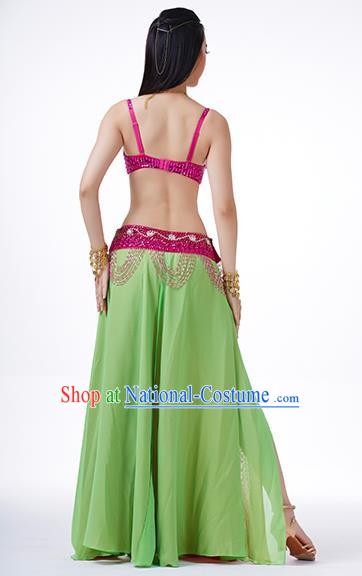 Traditional Asian Indian Belly Dance Costume Stage Performance India National Dance Dress Accessories Belts for Women