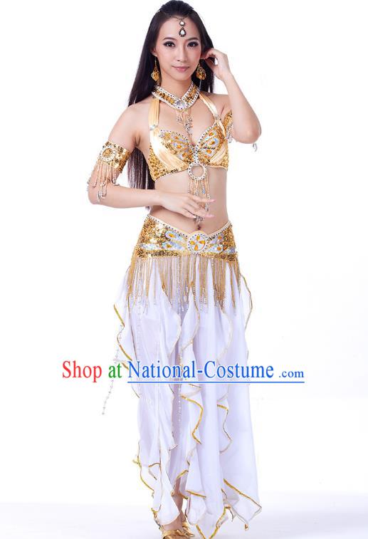 Traditional India Oriental Bollywood Dance Costume Indian Belly Dance Lotus Dress for Women