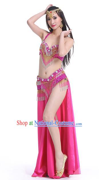 Traditional Asian Indian Belly Dance Costume Stage Performance India National Dance Dress Accessories Belts for Women