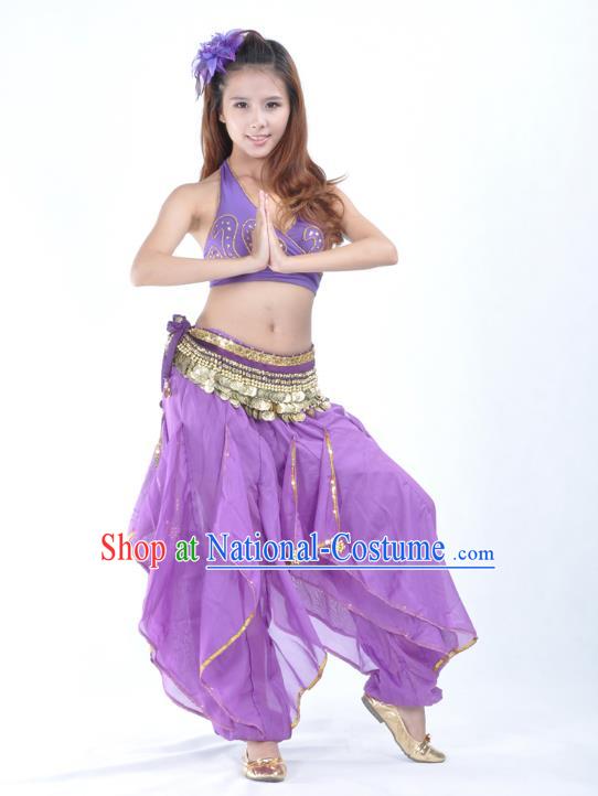 Asian Indian Traditional Costume Belly Dance Stage Performance Oriental Dance Purple Clothing for Women