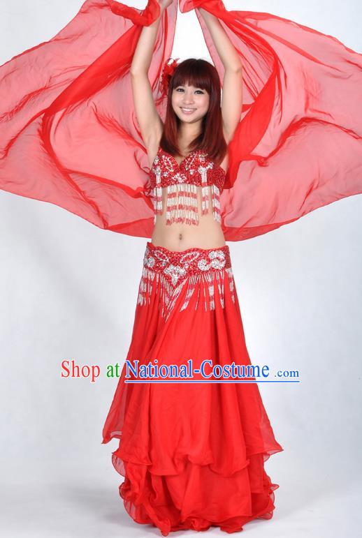 Asian Indian Traditional Oriental Dance Red Dress Belly Dance Stage Performance Costume for Women