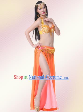 Traditional Asian Indian Belly Dance Costume Stage Performance India National Dance Dress Accessories Belts for Women