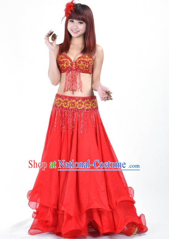 Traditional Asian Indian Belly Dance Costume Stage Performance India National Dance Dress Accessories Belts for Women