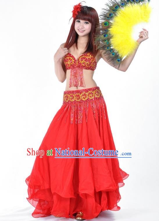 Traditional Asian Indian Belly Dance Costume Stage Performance India National Dance Dress Accessories Belts for Women