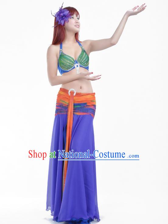 Indian Traditional Belly Dance Costume Classical Oriental Dance Purple Dress for Women