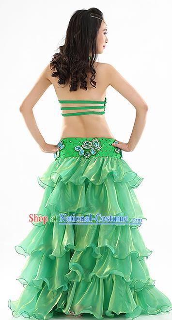 Traditional Asian Indian Belly Dance Costume Stage Performance India National Dance Dress Accessories Belts for Women