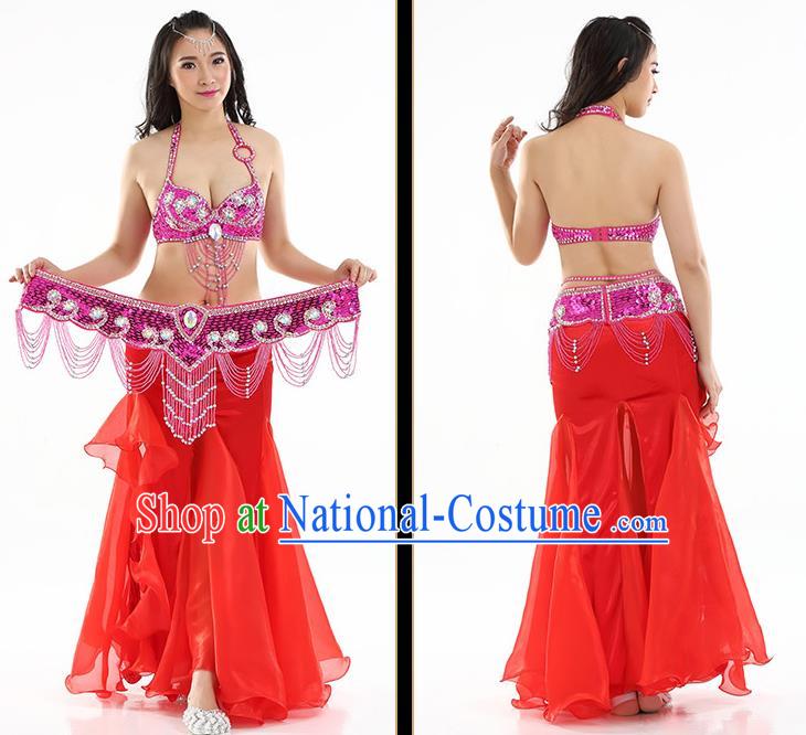 Traditional Asian Indian Belly Dance Costume Stage Performance India National Dance Dress Accessories Belts for Women