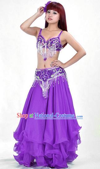 Traditional Bollywood Belly Dance Purple Dress Indian Oriental Dance Costume for Women