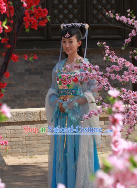 Ancient Chinese Ming Dynasty Palace Princess Embroidered Dress Historical Costume for Women