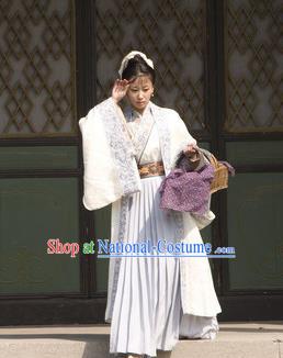 Chinese Ancient Song Dynasty Village Women Wife of Litterateur Su Shi Wang Runzhi Replica Costume for Women